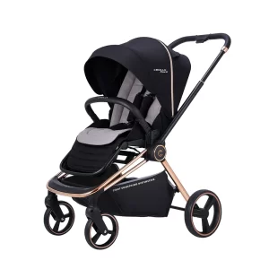 Flexxi Two Ways Facing Stroller